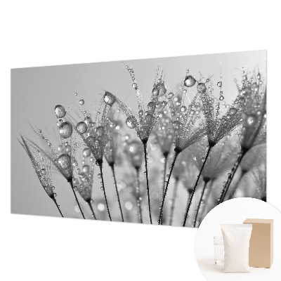 Fotografická tapeta na vliese Mokrá pochúťka