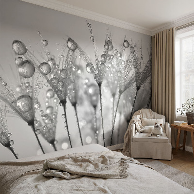 Fotografická tapeta na vliese Mokrá pochúťka