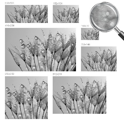 Fotografická tapeta na vliese Mokrá pochúťka