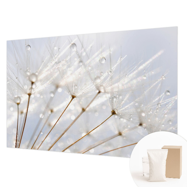 Fototapeta na mieru do spálne Ružová púpava