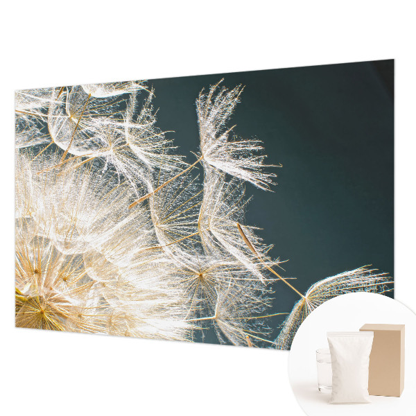 Fototapeta na stenu Púpava ľahkosti