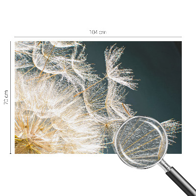 Fototapeta na stenu Púpava ľahkosti