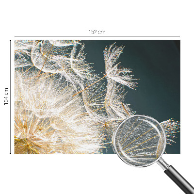 Fototapeta na stenu Púpava ľahkosti