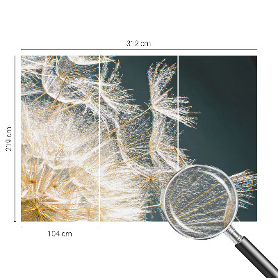 Fototapeta na stenu Púpava ľahkosti