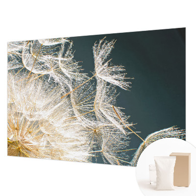 Fototapeta na stenu Púpava ľahkosti