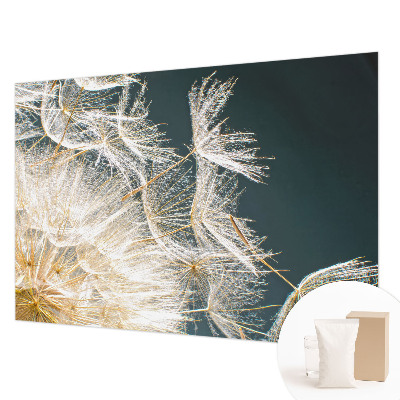 Fototapeta na stenu Púpava ľahkosti