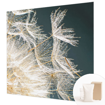 Fototapeta na stenu Púpava ľahkosti