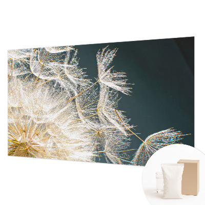 Fototapeta na stenu Púpava ľahkosti