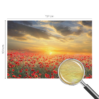 Fototapeta do obývačky Makové pole