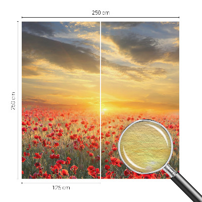 Fototapeta do obývačky Makové pole