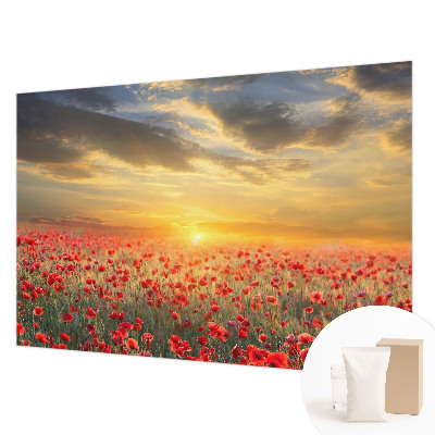 Fototapeta do obývačky Makové pole