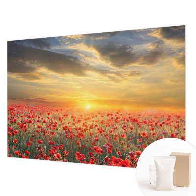 Fototapeta do obývačky Makové pole