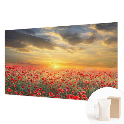 Fototapeta do obývačky Makové pole