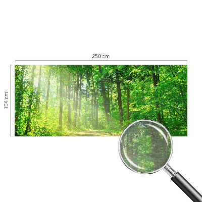 Fototapeta do spálne Lesný chodník