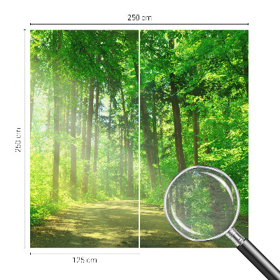 Fototapeta do spálne Lesný chodník