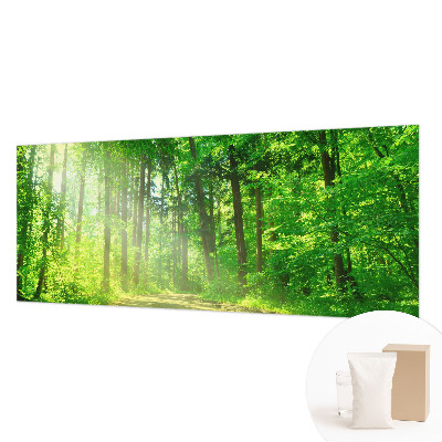 Fototapeta do spálne Lesný chodník