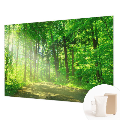 Fototapeta do spálne Lesný chodník