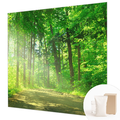 Fototapeta do spálne Lesný chodník