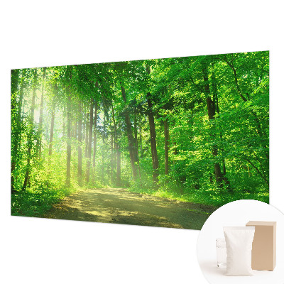 Fototapeta do spálne Lesný chodník