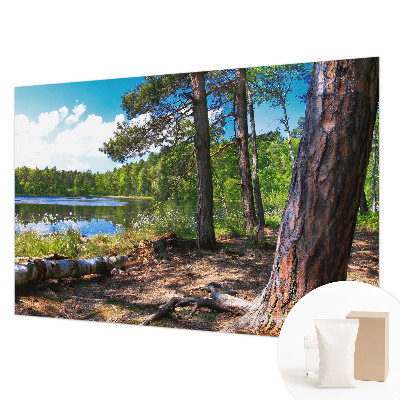 Fototapeta s potlačou na vliese Lesná krajina