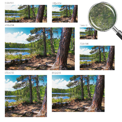 Fototapeta s potlačou na vliese Lesná krajina