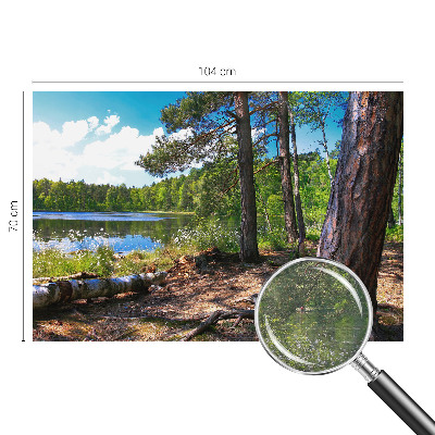 Fototapeta s potlačou na vliese Lesná krajina