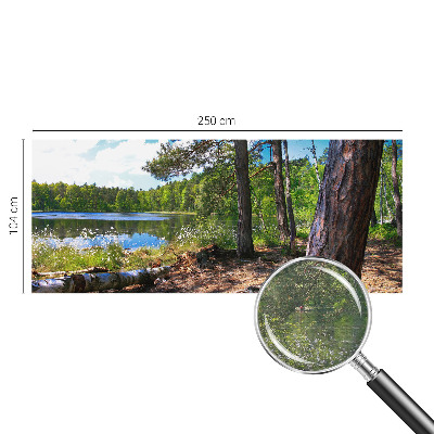 Fototapeta s potlačou na vliese Lesná krajina