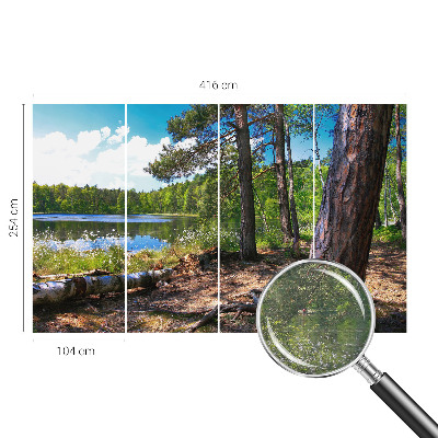 Fototapeta s potlačou na vliese Lesná krajina