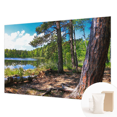 Fototapeta s potlačou na vliese Lesná krajina