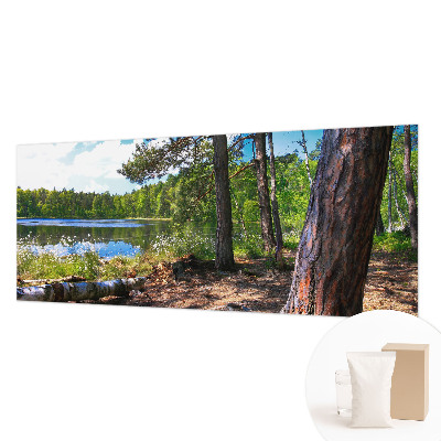 Fototapeta s potlačou na vliese Lesná krajina