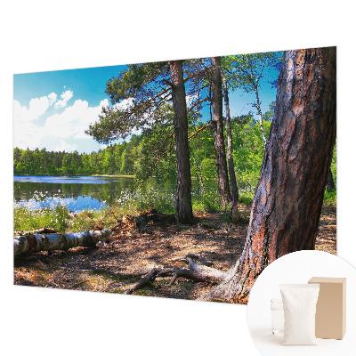 Fototapeta s potlačou na vliese Lesná krajina