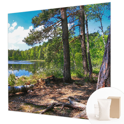 Fototapeta s potlačou na vliese Lesná krajina