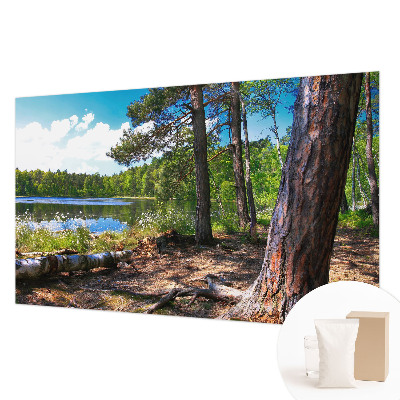 Fototapeta s potlačou na vliese Lesná krajina