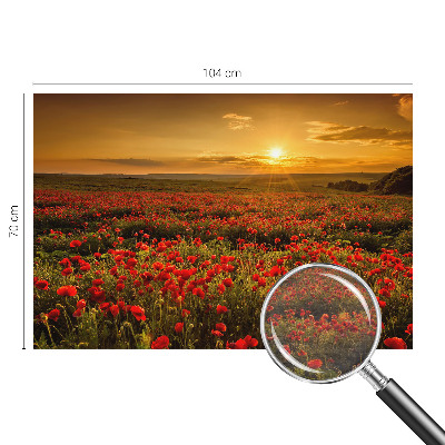 Dekoratívna fototapeta na stenu Makové pole