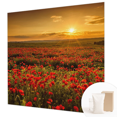 Dekoratívna fototapeta na stenu Makové pole