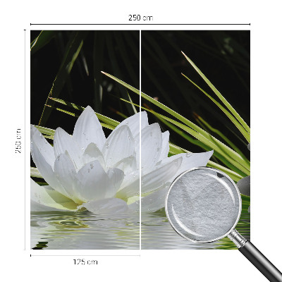 Fototapeta Meditácia s ľaliou