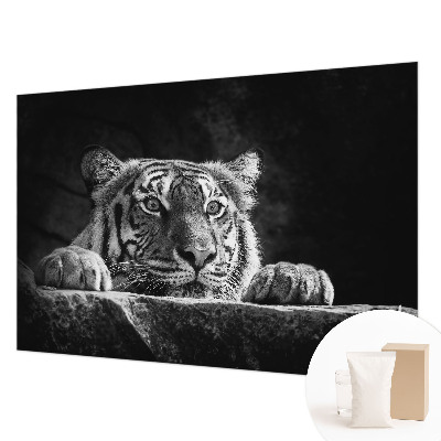 Vliesová fototapeta do spálne Dravý pohľad