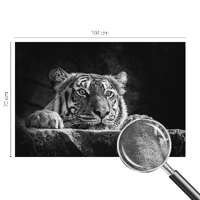 Vliesová fototapeta do spálne Dravý pohľad