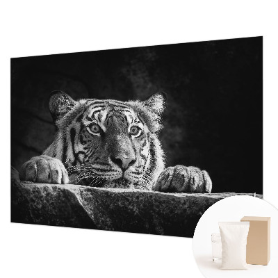 Vliesová fototapeta do spálne Dravý pohľad