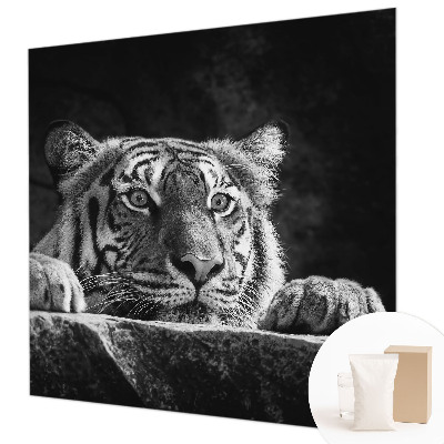 Vliesová fototapeta do spálne Dravý pohľad