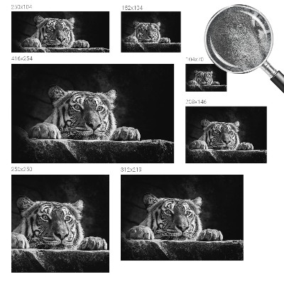 Vliesová fototapeta do spálne Dravý pohľad