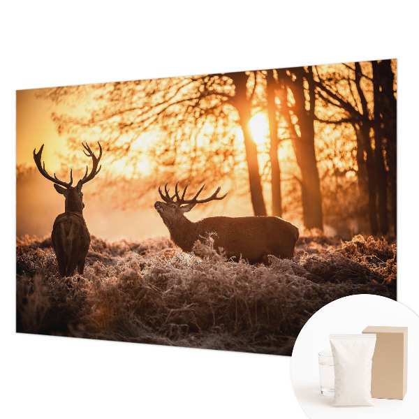 Fotografická tapeta na vliese Jeleň ráno