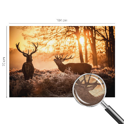 Fotografická tapeta na vliese Jeleň ráno