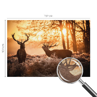 Fotografická tapeta na vliese Jeleň ráno