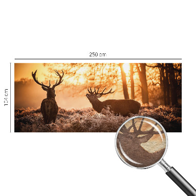 Fotografická tapeta na vliese Jeleň ráno