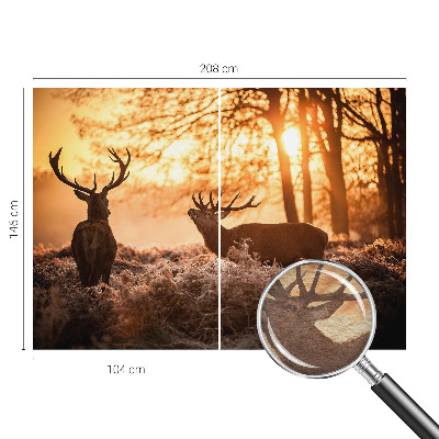 Fotografická tapeta na vliese Jeleň ráno