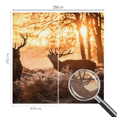 Fotografická tapeta na vliese Jeleň ráno