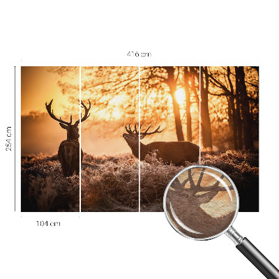 Fotografická tapeta na vliese Jeleň ráno