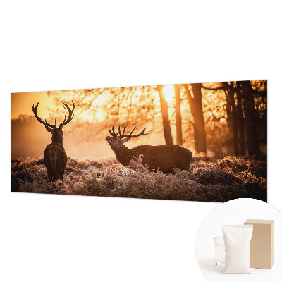 Fotografická tapeta na vliese Jeleň ráno