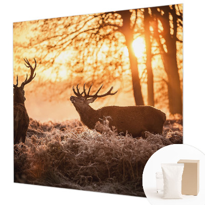 Fotografická tapeta na vliese Jeleň ráno